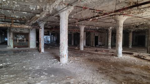 Graffiti Expo - 20250126_105239.jpg