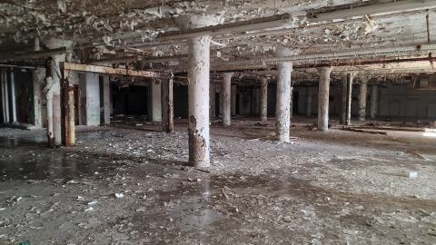 Graffiti Expo - 20250126_105212.jpg