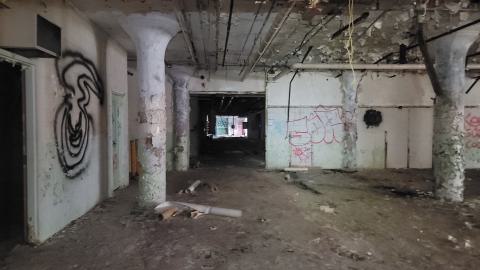 Graffiti Expo - 20250126_105051.jpg