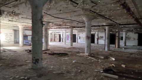 Graffiti Expo - 20250126_105048.jpg