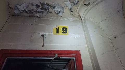 Graffiti Expo - 20250126_104339.jpg