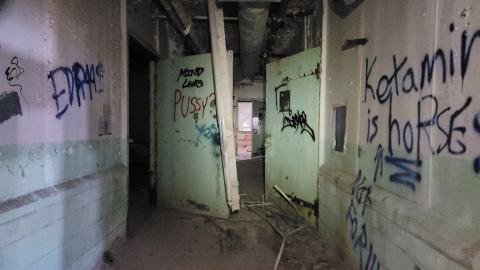 Graffiti Expo - 20250126_104228.jpg