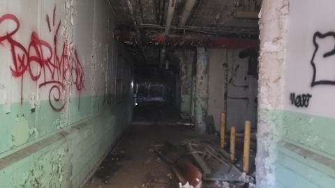 Graffiti Expo - 20250126_104120.jpg