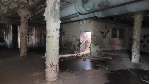 Graffiti Expo - 20250126_103951.jpg