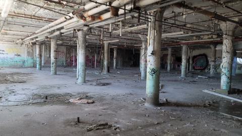 Graffiti Expo - 20250126_103726.jpg