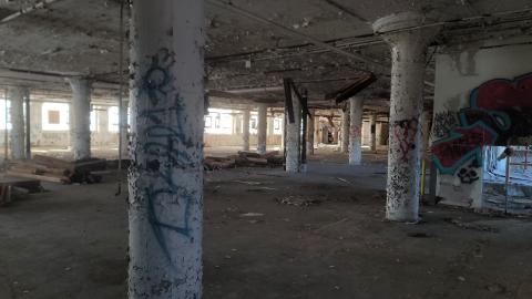 Graffiti Expo - 20250126_103509.jpg