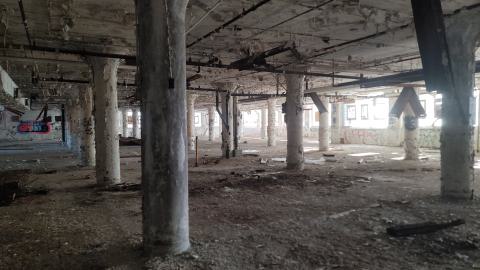 Graffiti Expo - 20250126_103351.jpg