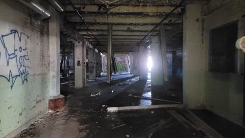 Graffiti Expo - 20250126_103338.jpg