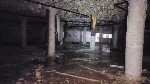 Graffiti Expo - 20250126_103141.jpg