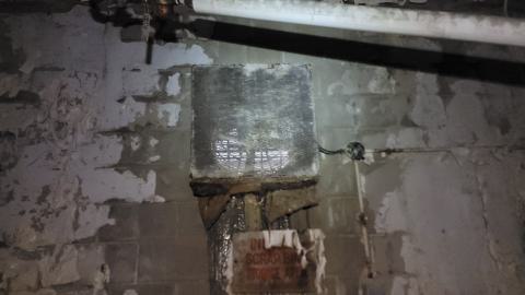 Graffiti Expo - 20250126_103046.jpg