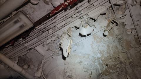 Graffiti Expo - 20250126_103022.jpg