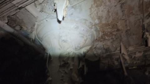 Graffiti Expo - 20250126_103018.jpg