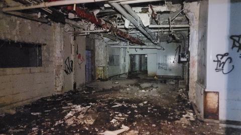 Graffiti Expo - 20250126_103008.jpg