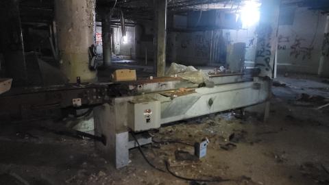 Graffiti Expo - 20250126_102647.jpg