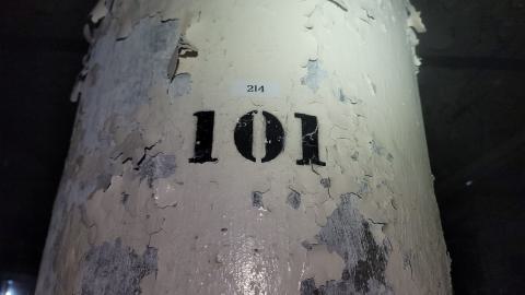 Graffiti Expo - 20250126_102623.jpg