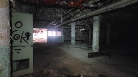 Graffiti Expo - 20250126_102553.jpg