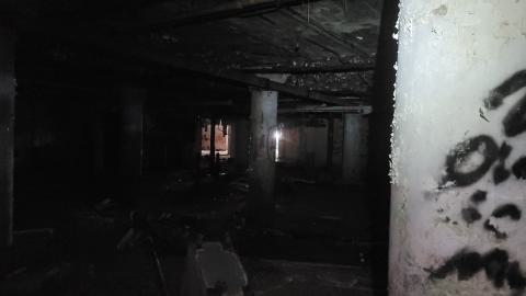 Graffiti Expo - 20250126_102321.jpg