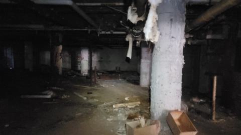 Graffiti Expo - 20250126_102142.jpg