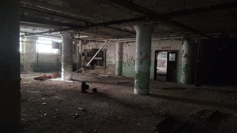 Graffiti Expo - 20250126_102027.jpg