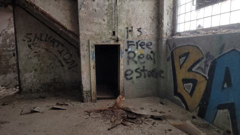 Graffiti Expo - 20250126_101941.jpg