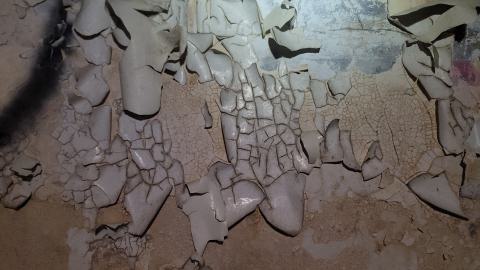 Graffiti Expo - 20250126_101854.jpg