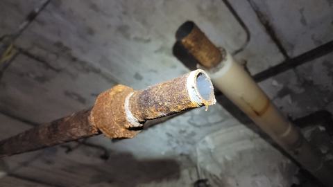 Graffiti Expo - 20250126_101847.jpg