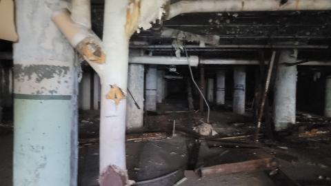 Graffiti Expo - 20250126_101839.jpg