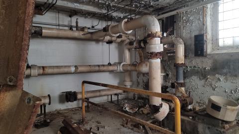 Graffiti Expo - 20250126_101818.jpg