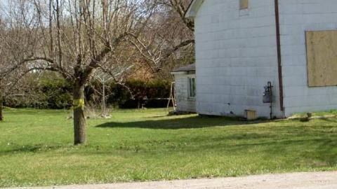 Photo from Mitchell Corner