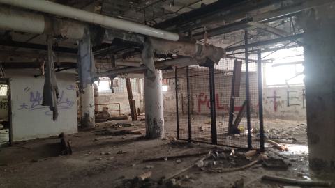 Graffiti Expo - 20250126_101702.jpg