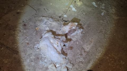 Photo from Graffiti Expo