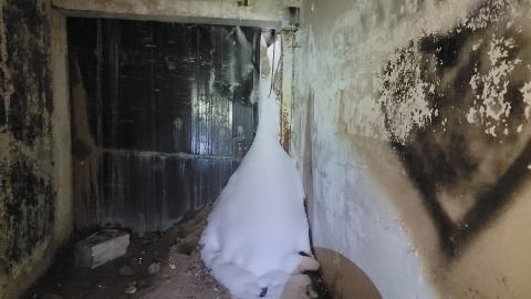 Graffiti Expo - 20250126_101455.jpg