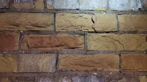 Graffiti Expo - 20250126_101421.jpg