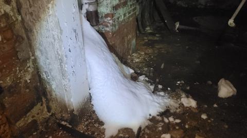 Graffiti Expo - 20250126_101411.jpg