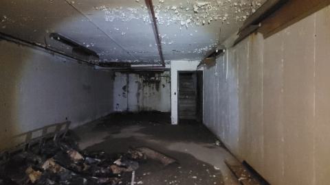 Graffiti Expo - 20250126_101359.jpg