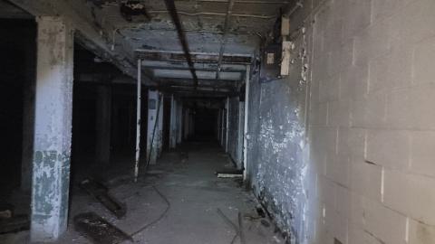 Graffiti Expo - 20250126_101347.jpg