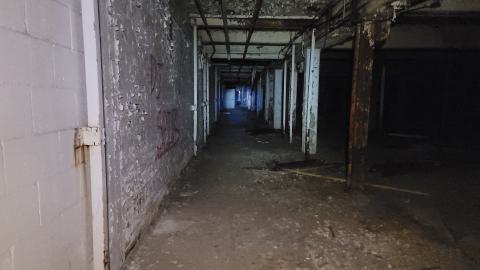 Graffiti Expo - 20250126_101125.jpg