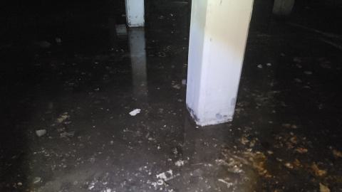 Graffiti Expo - 20250126_101034.jpg