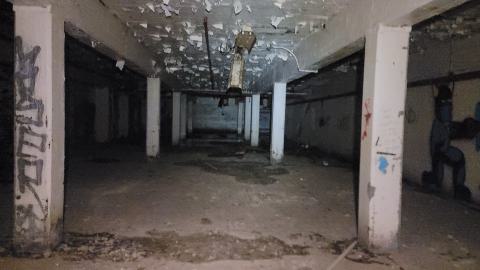 Graffiti Expo - 20250126_101018.jpg