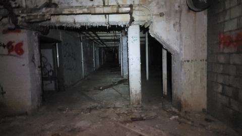 Graffiti Expo - 20250126_100622.jpg