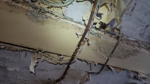 Graffiti Expo - 20250126_100521.jpg