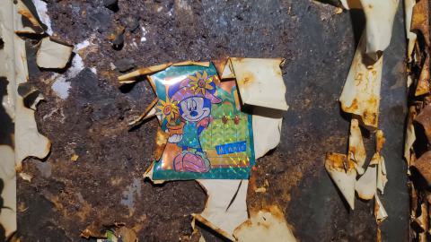 Graffiti Expo - 20250126_100351.jpg