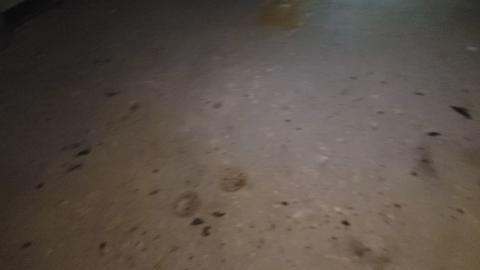 Graffiti Expo - 20250126_100206.jpg