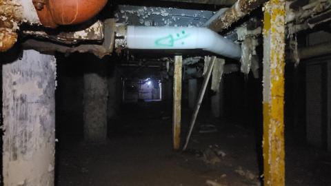 Graffiti Expo - 20250126_100101.jpg