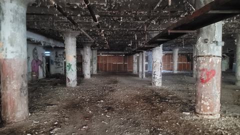 Graffiti Expo - 20250126_095944.jpg