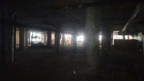 Graffiti Expo - 20250126_095633.jpg