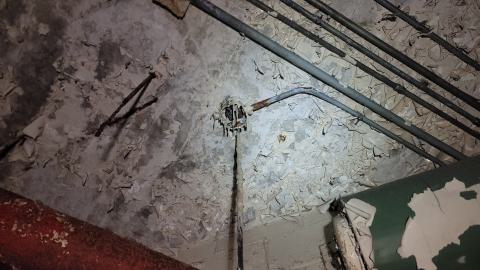 Graffiti Expo - 20250126_095543.jpg