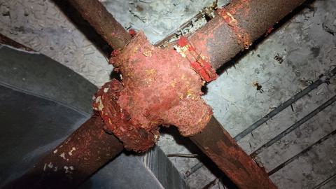 Graffiti Expo - 20250126_095458.jpg