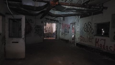 Graffiti Expo - 20250126_095450.jpg