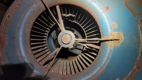 Graffiti Expo - 20250126_095351.jpg